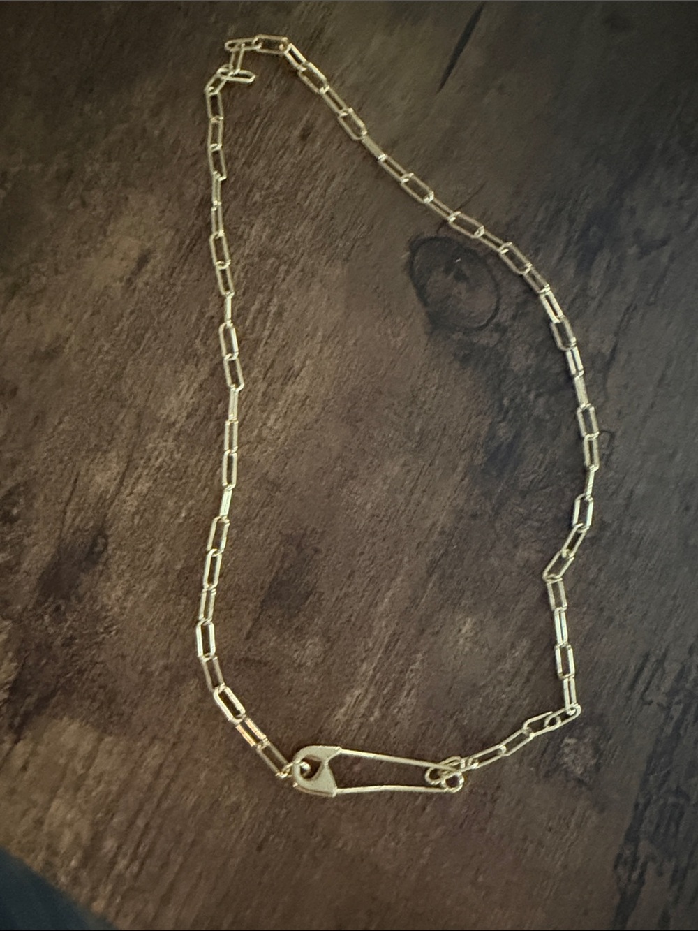 Nordstrom Gold-Tone Paperclip Chain Necklace with Safety Pin Charm